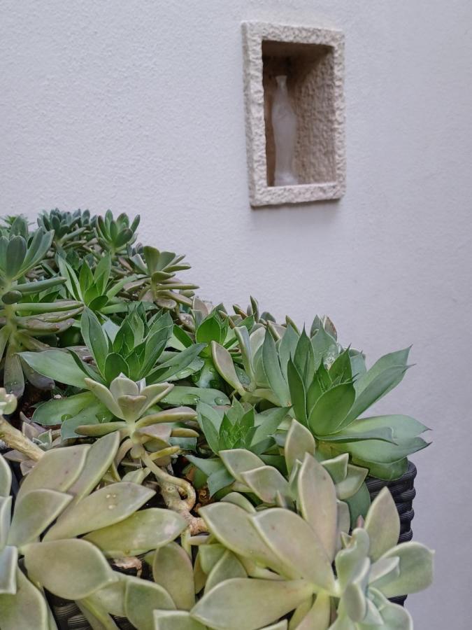 Monnalisa House Apartment Malcesine Bagian luar foto